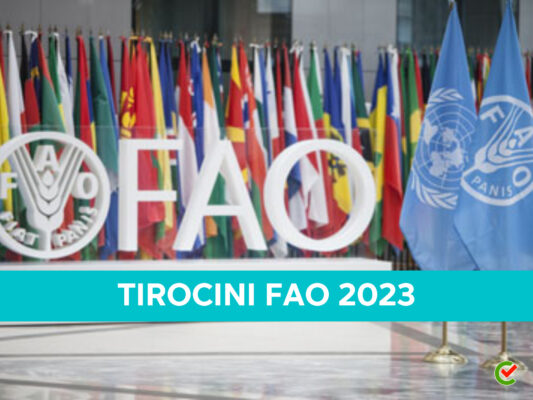 tirocini-fao-2023-–-stage-a-roma-e-all’estero-retribuiti