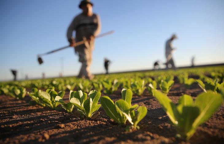 l’ue-vuole-mettere-in-ginocchio-gli-agricoltori-italiani?