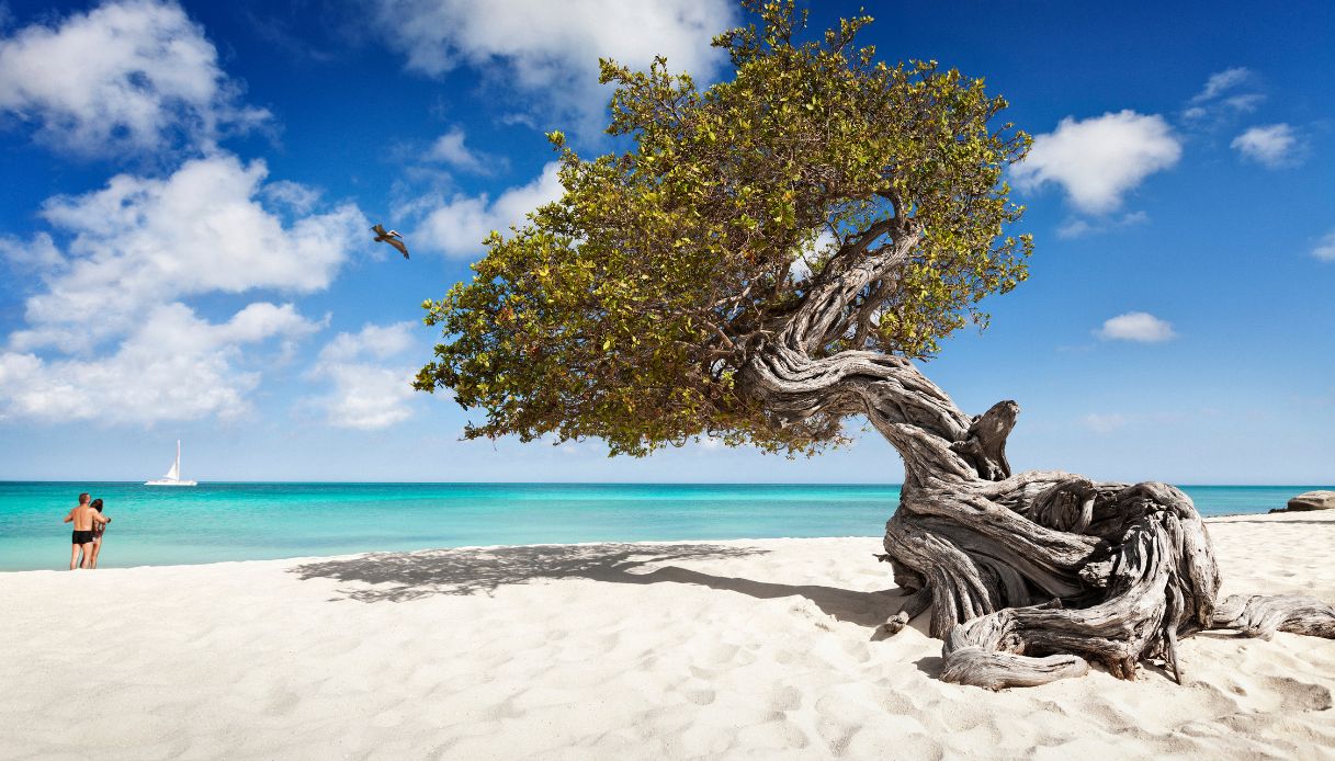 e-la-migliore-spiaggia-dei-caraibi-per-i-viaggiatori